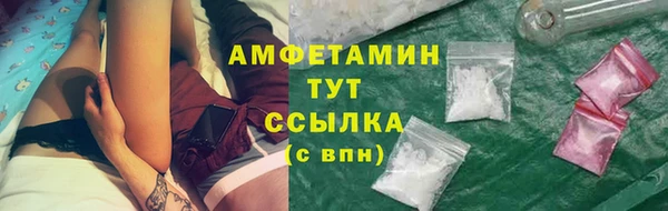 крисы Белокуриха