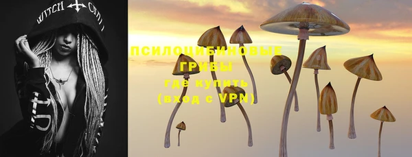 первитин Белоозёрский