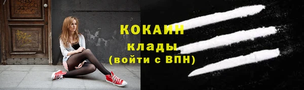крисы Белокуриха